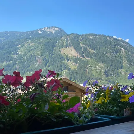 Schwemberger Ohne Frühstück