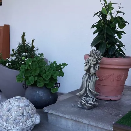 Schwemberger Ohne Fruehstueck 메이른호픈