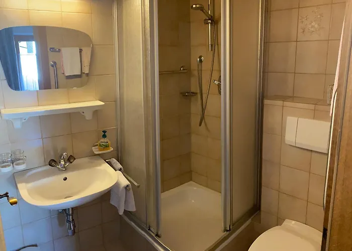 Schwemberger Ohne Fruehstueck 3* Майргофен