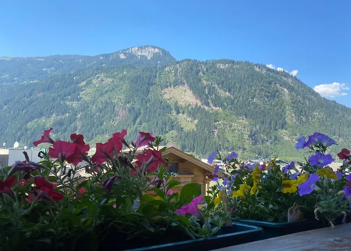 Schwemberger Ohne Fruehstueck